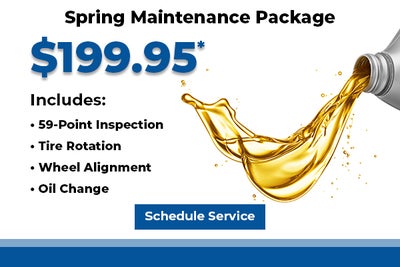 Spring Maintenance Package*