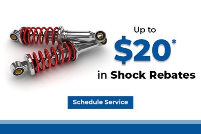 Shock Rebates*